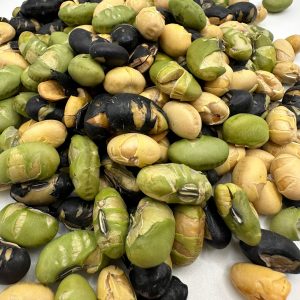 מיקס פרוטאין